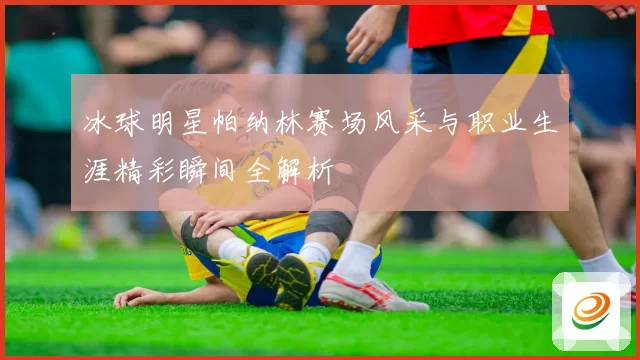 冰球明星帕纳林赛场风采与职业生涯精彩瞬间全解析