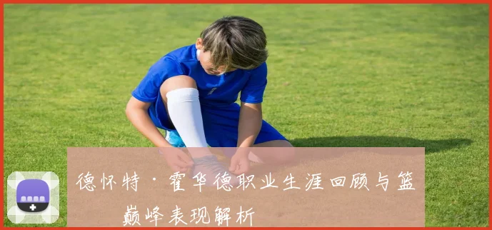 德怀特·霍华德职业生涯回顾与篮球巅峰表现解析