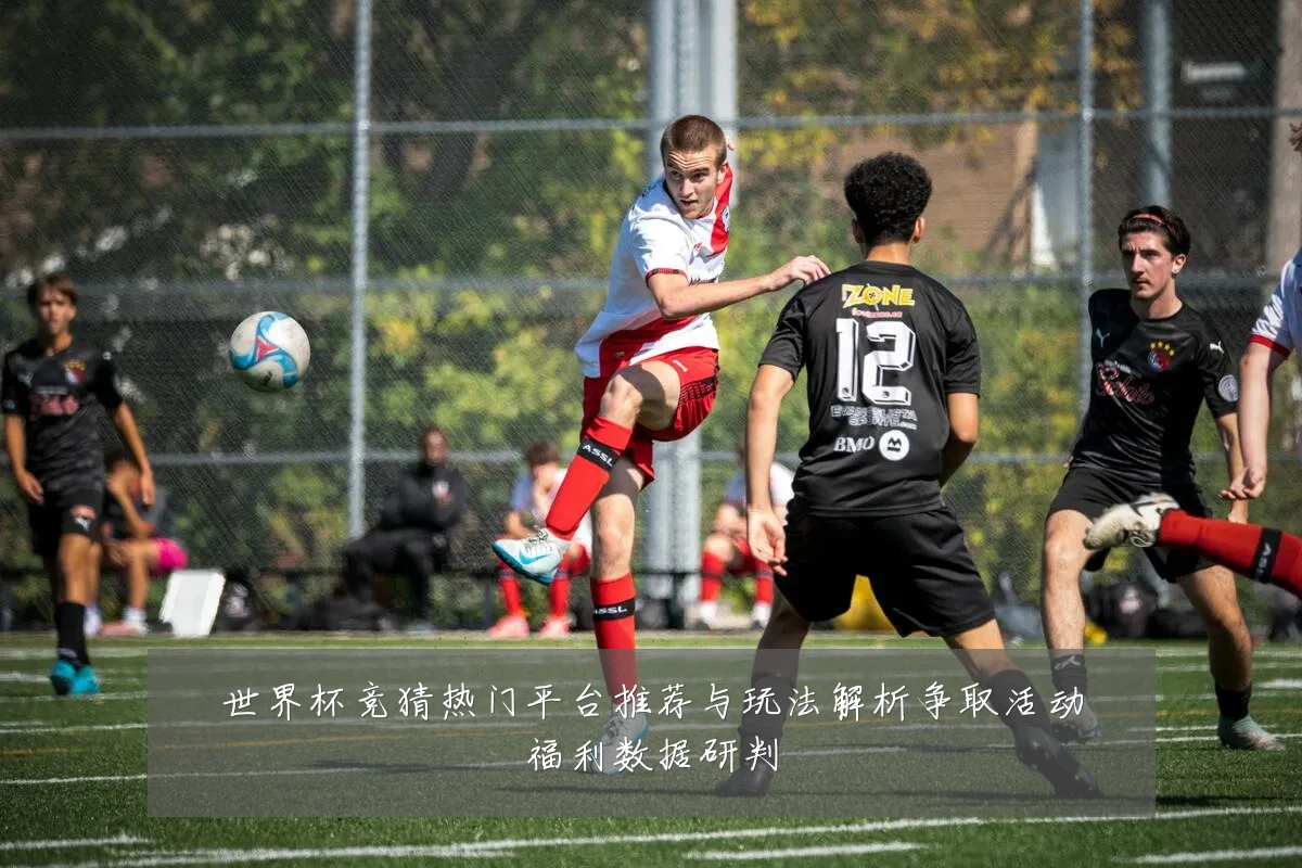 世界杯竞猜热门平台推荐与玩法解析争取活动福利数据研判